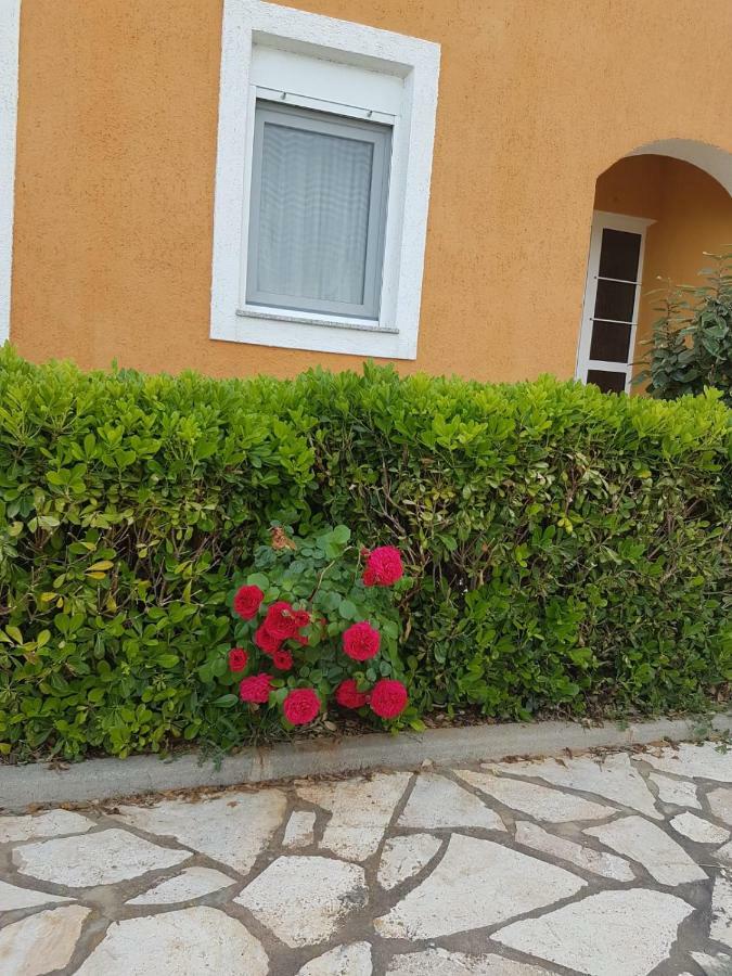 Apartmani Anna Vir Bagian luar foto